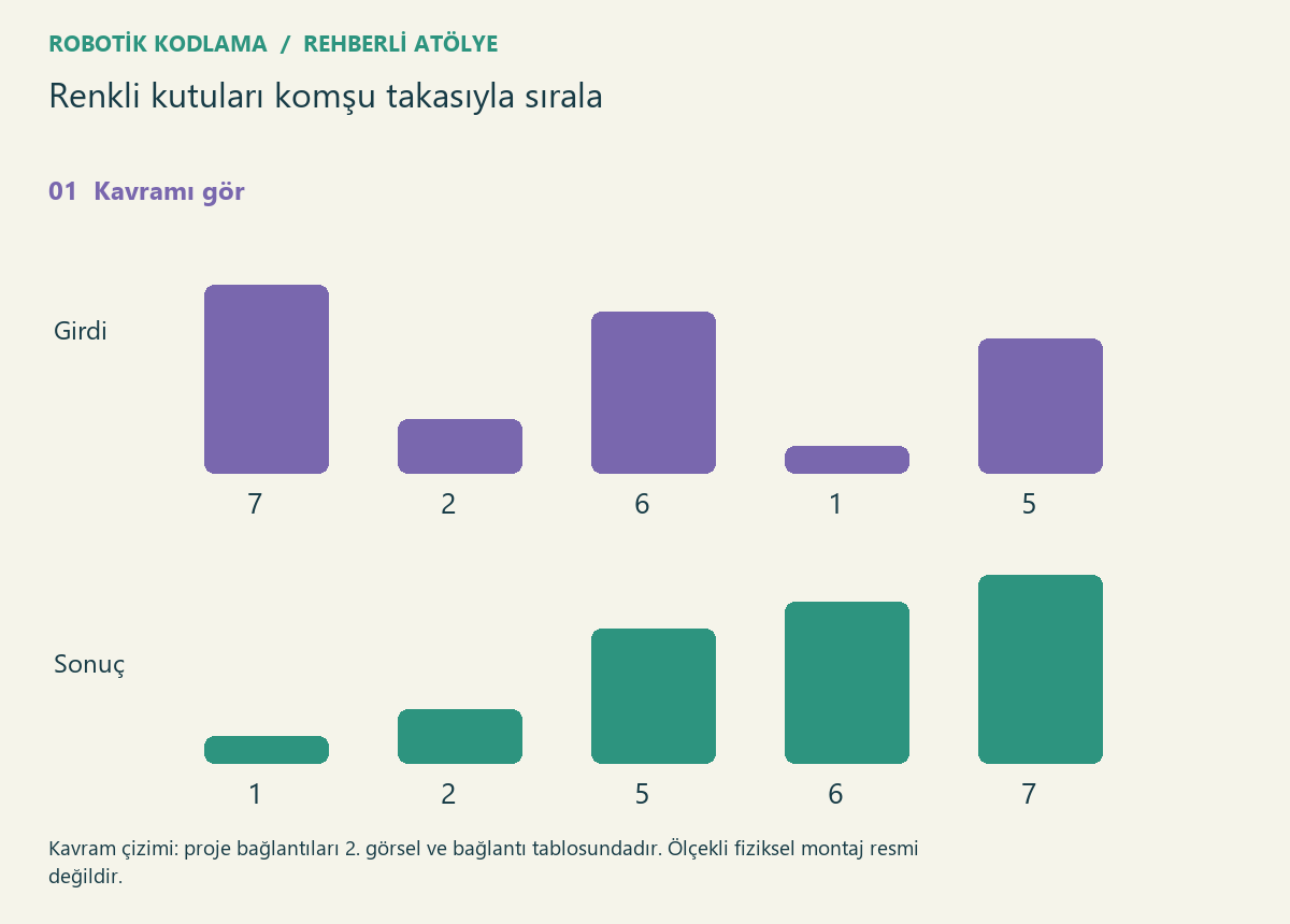Renkli kutuları komşu takasıyla sırala — proje görseli