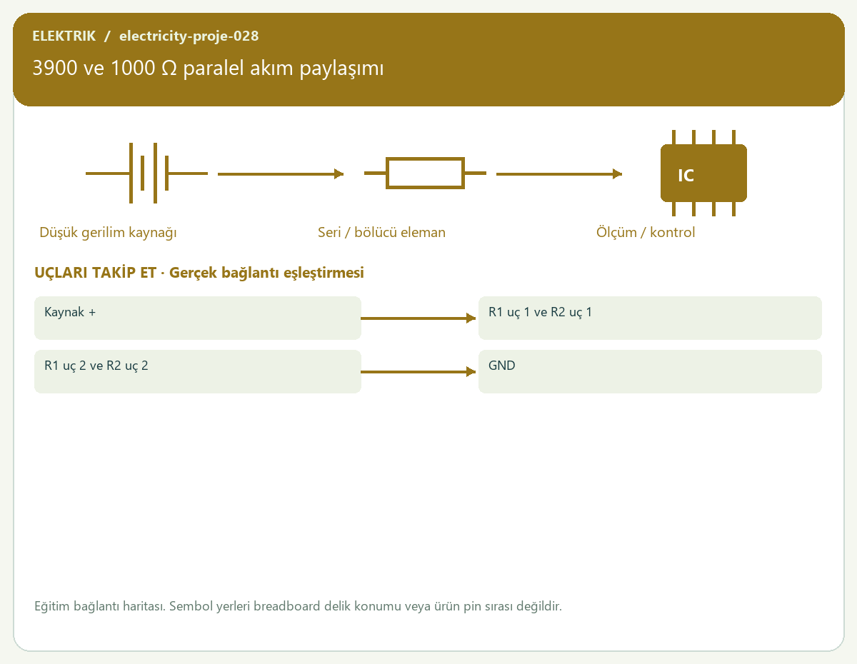 3900 ve 1000 Ω paralel akım paylaşımı — proje görseli