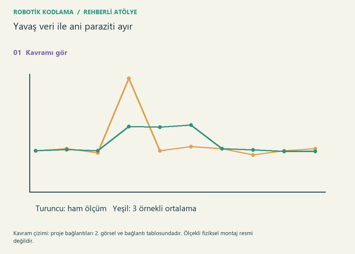 Yavaş veri ile ani paraziti ayır — proje görseli